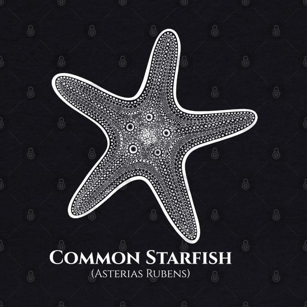 Common Starfish with Common and Scientific Names - marine design by Green Paladin